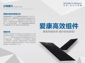 源于德国品质，爱康光电组件闪耀慕尼黑——技术咨询与销售服务并驾齐驱